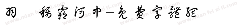 羽霖称霸河中字体转换