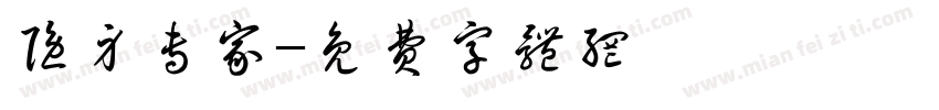 隐身专家字体转换