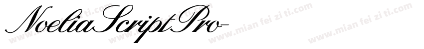 NoeliaScriptPro字体转换