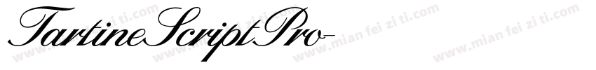 TartineScriptPro字体转换