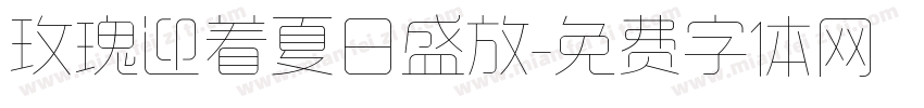 玫瑰迎着夏日盛放字体转换