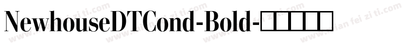 NewhouseDTCond-Bold字体转换