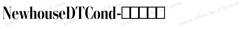 NewhouseDTCond字体转换
