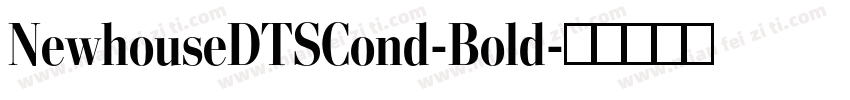 NewhouseDTSCond-Bold字体转换