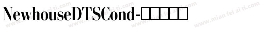 NewhouseDTSCond字体转换