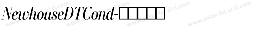 NewhouseDTCond字体转换