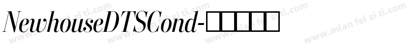 NewhouseDTSCond字体转换