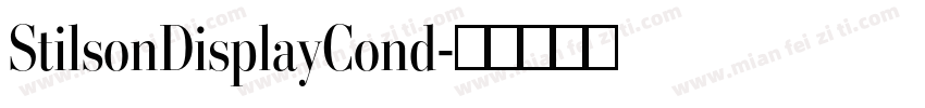 StilsonDisplayCond字体转换