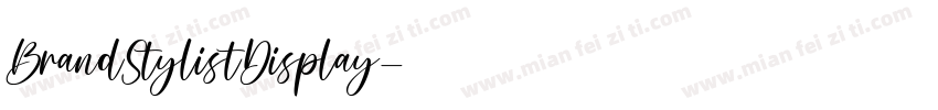 BrandStylistDisplay字体转换