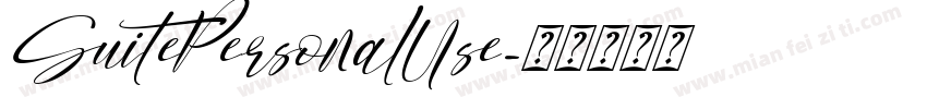SuitePersonalUse字体转换