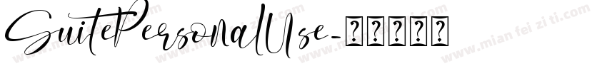 SuitePersonalUse字体转换