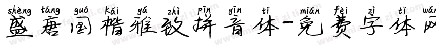盛唐国楷雅致拼音体字体转换