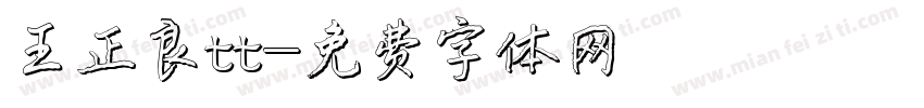 王正良tt字体转换