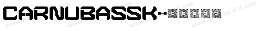 CarnubaSSK字体转换