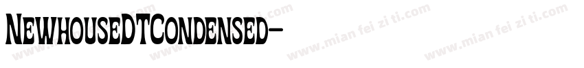 NewhouseDTCondensed字体转换