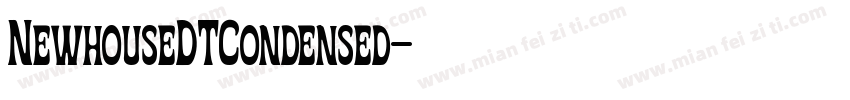 NewhouseDTCondensed字体转换