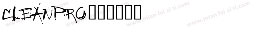 CleanPro字体转换
