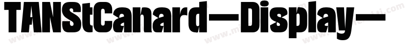 TANStCanard-Display字体转换