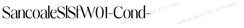 SancoaleSlSfW01-Cond字体转换