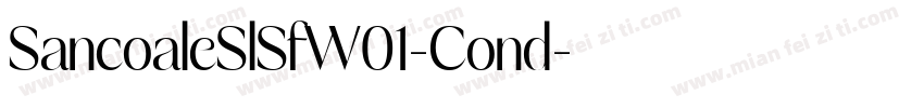 SancoaleSlSfW01-Cond字体转换