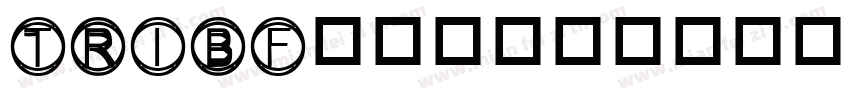 TRIBF___字体转换