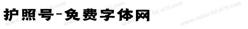护照号字体转换
