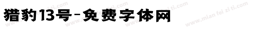 猎豹13号字体转换