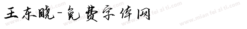 王东晓字体转换