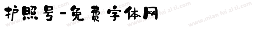 护照号字体转换