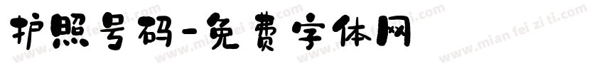 护照号码字体转换