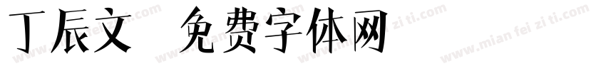 丁辰文字体转换
