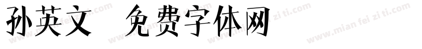 孙英文字体转换