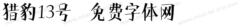 猎豹13号字体转换