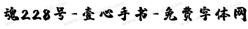 魂228号-壹心手书字体转换