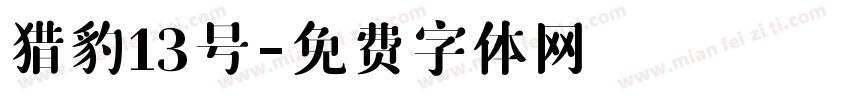 猎豹13号字体转换