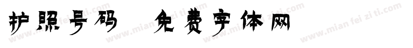 护照号码字体转换