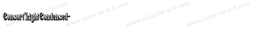 ConsortLightCondensed字体转换