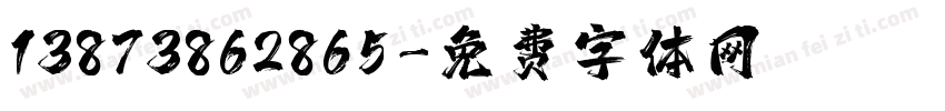 13873862865字体转换