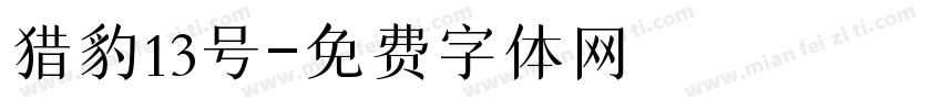猎豹13号字体转换