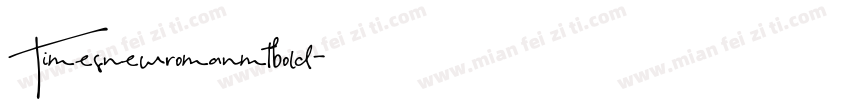 Timesnewromanmtbold字体转换
