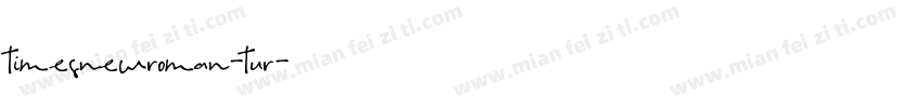 timesnewroman-tur字体转换