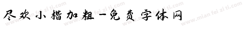 尽欢小楷加粗字体转换