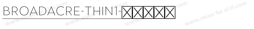 Broadacre-Thin1字体转换