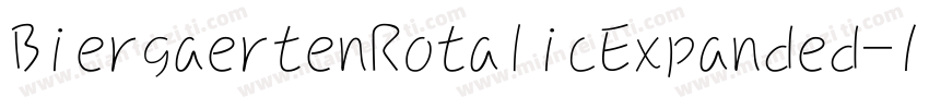 BiergaertenRotalicExpanded-1OB2字体转换