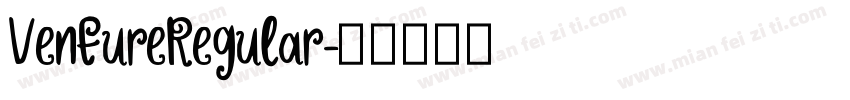 VentureRegular字体转换