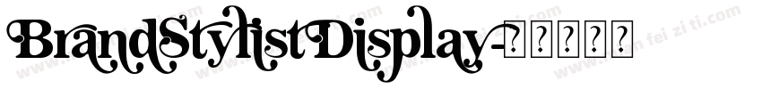 BrandStylistDisplay字体转换