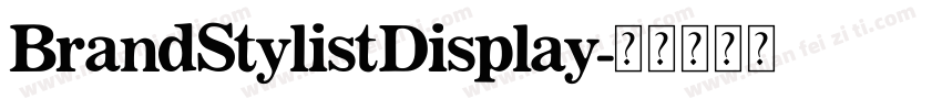 BrandStylistDisplay字体转换