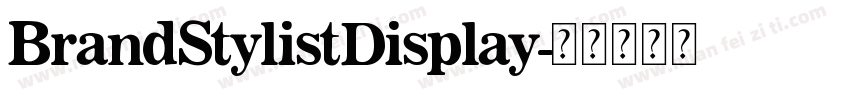 BrandStylistDisplay字体转换