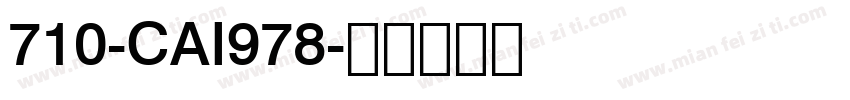 710-CAI978字体转换