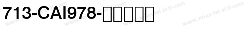 713-CAI978字体转换